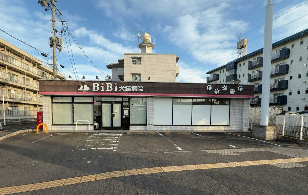 BiBi犬猫病院